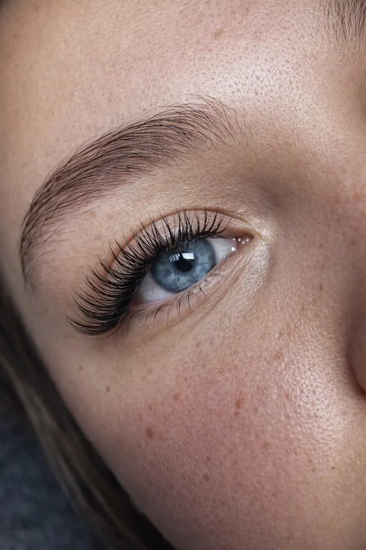 LASH STYLIST