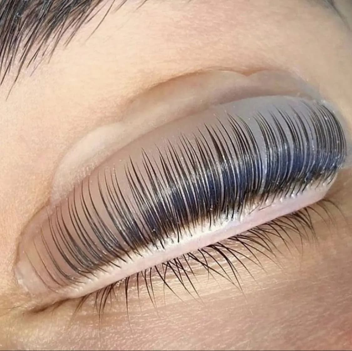 Lash lifting a barvení řas